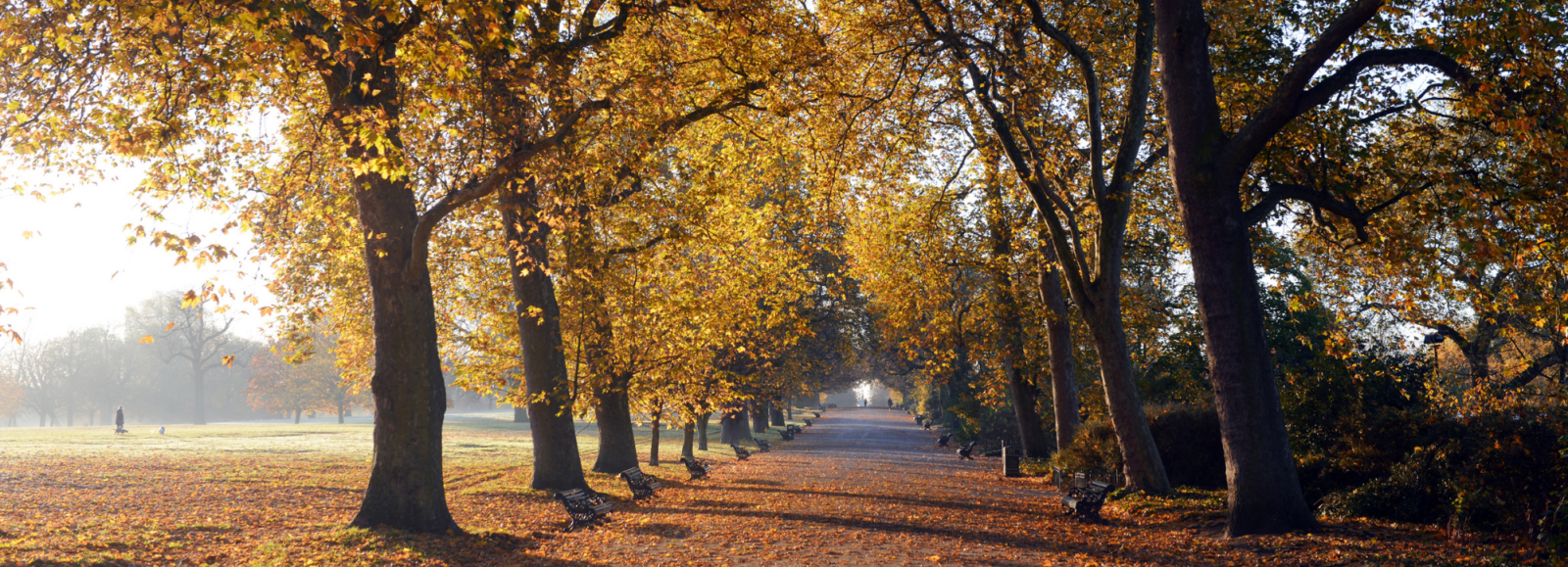 Summer is Over - Let the Job Search Begin